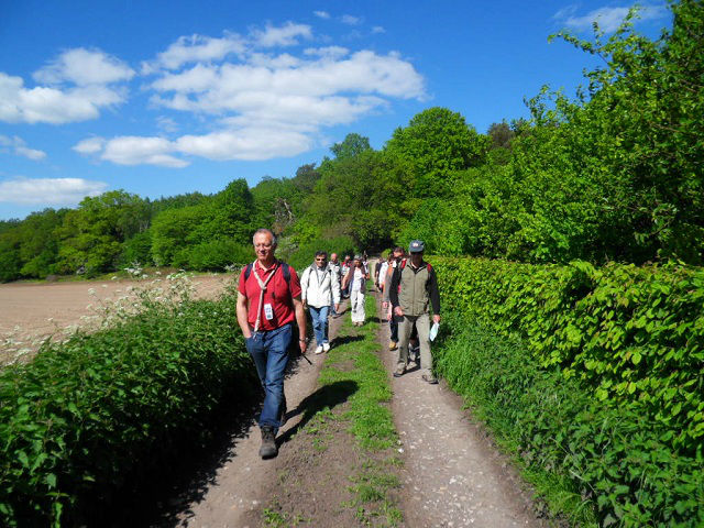 2012 jumièges 06